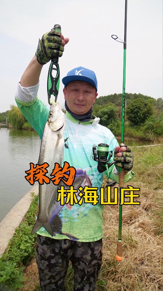 路亚软鱼视频(路亚鱼软饵种类及用法)