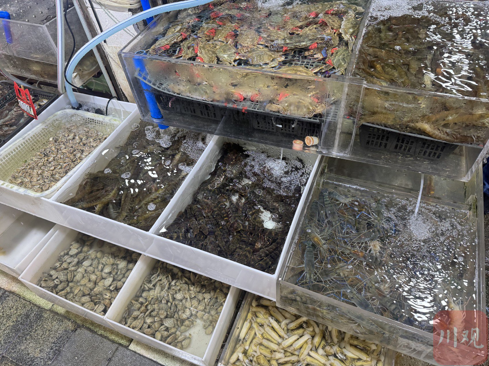 成都五块石渔具批发商(鱼具渔具钓鱼用品批发市场在哪里)