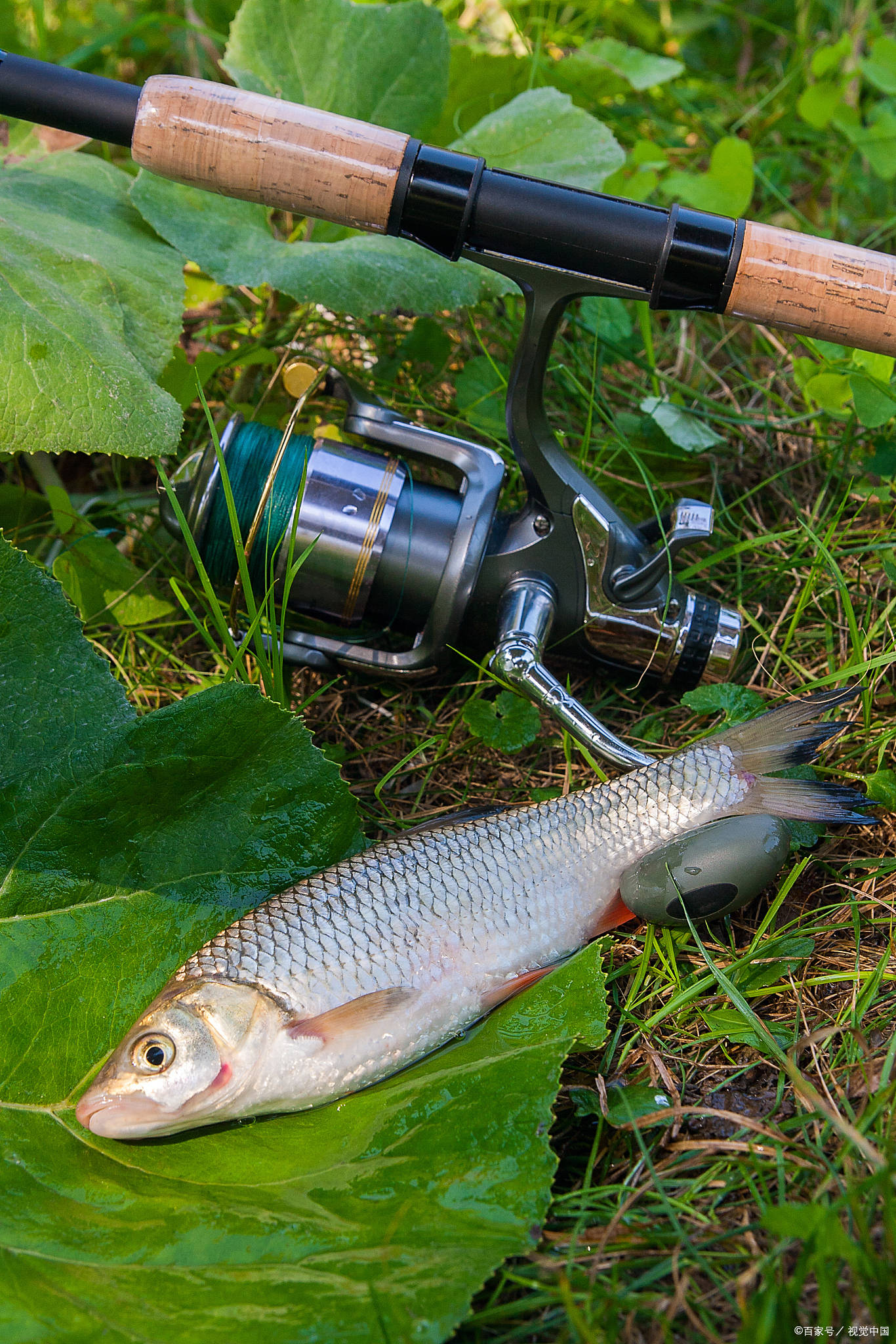 威海春季渔具展2021(威海春季渔具展什么时间开幕)