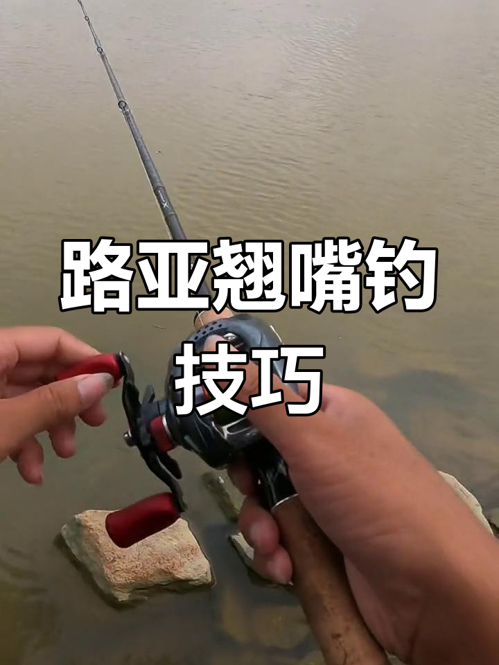 路亚搭配翘嘴(路亚翘嘴用什么钓组好)