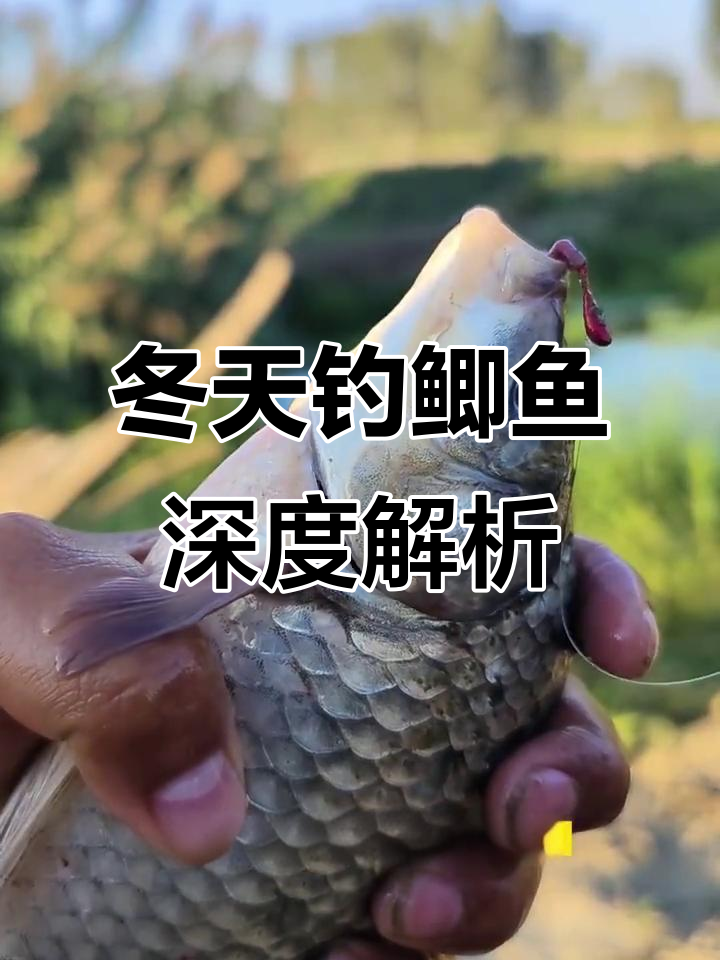 冬天河里钓鱼技巧大全(冬天河里钓鱼技巧大全视频) 冬天河里钓鱼技巧大全(冬天河里钓鱼技巧大全视频)