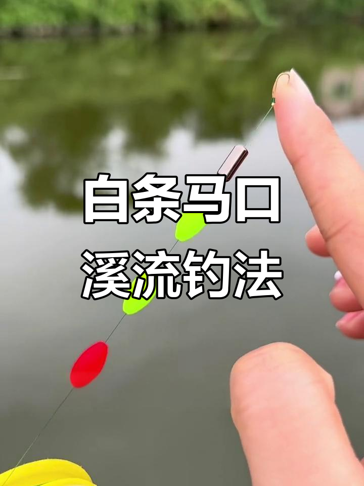 初冬水库钓马口技巧(冬天钓马口鱼钓深还是钓浅) 初冬水库钓马口技巧(冬天钓马口鱼钓深还是钓浅)