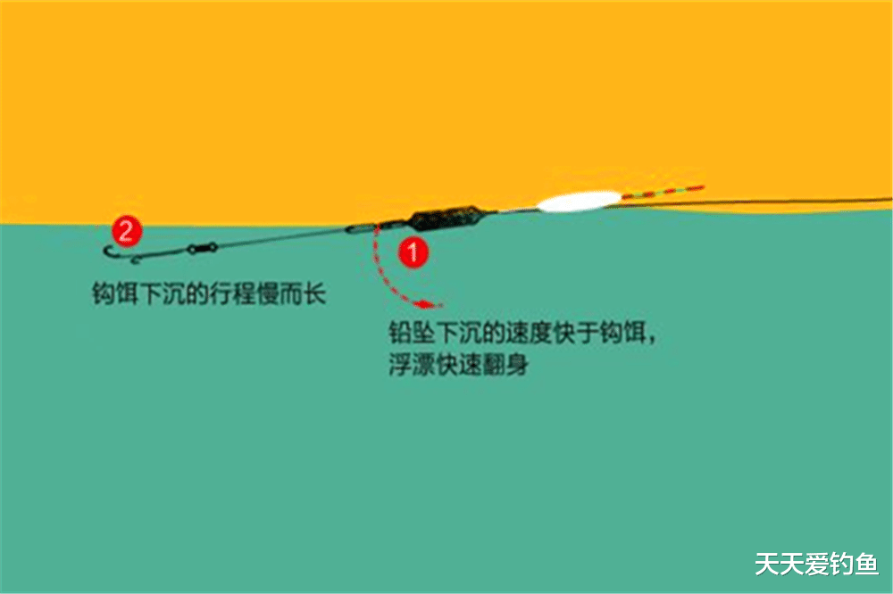 双坠单钩钓鲫鱼技巧(双坠单钩钓鱼调漂图解) 双坠单钩钓鲫鱼技巧(双坠单钩钓鱼调漂图解)