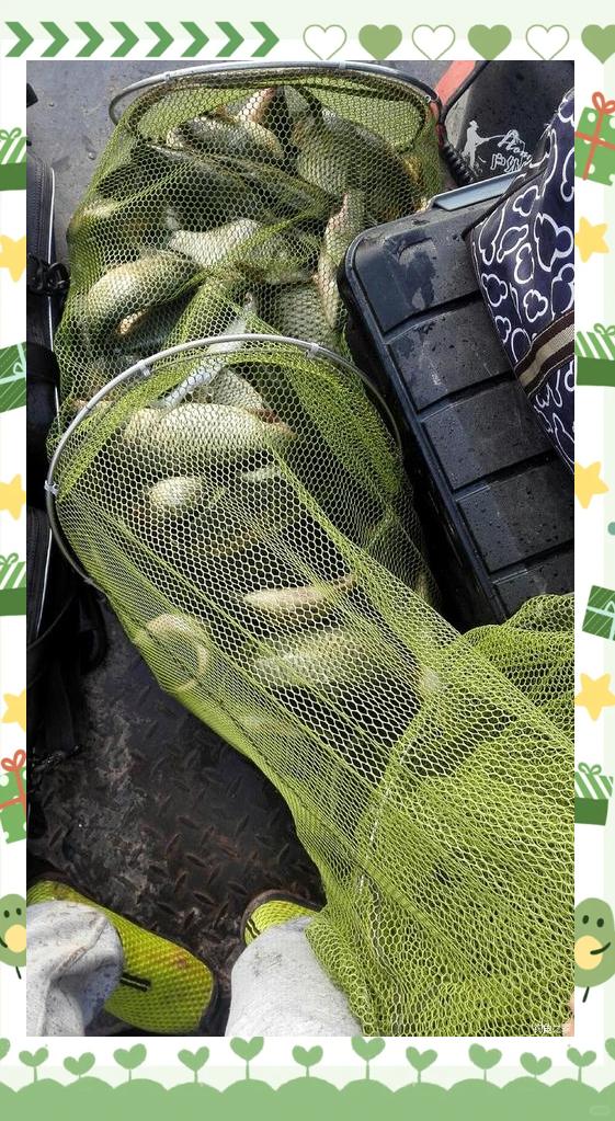 路亚水草多(路亚水草多怎么办)