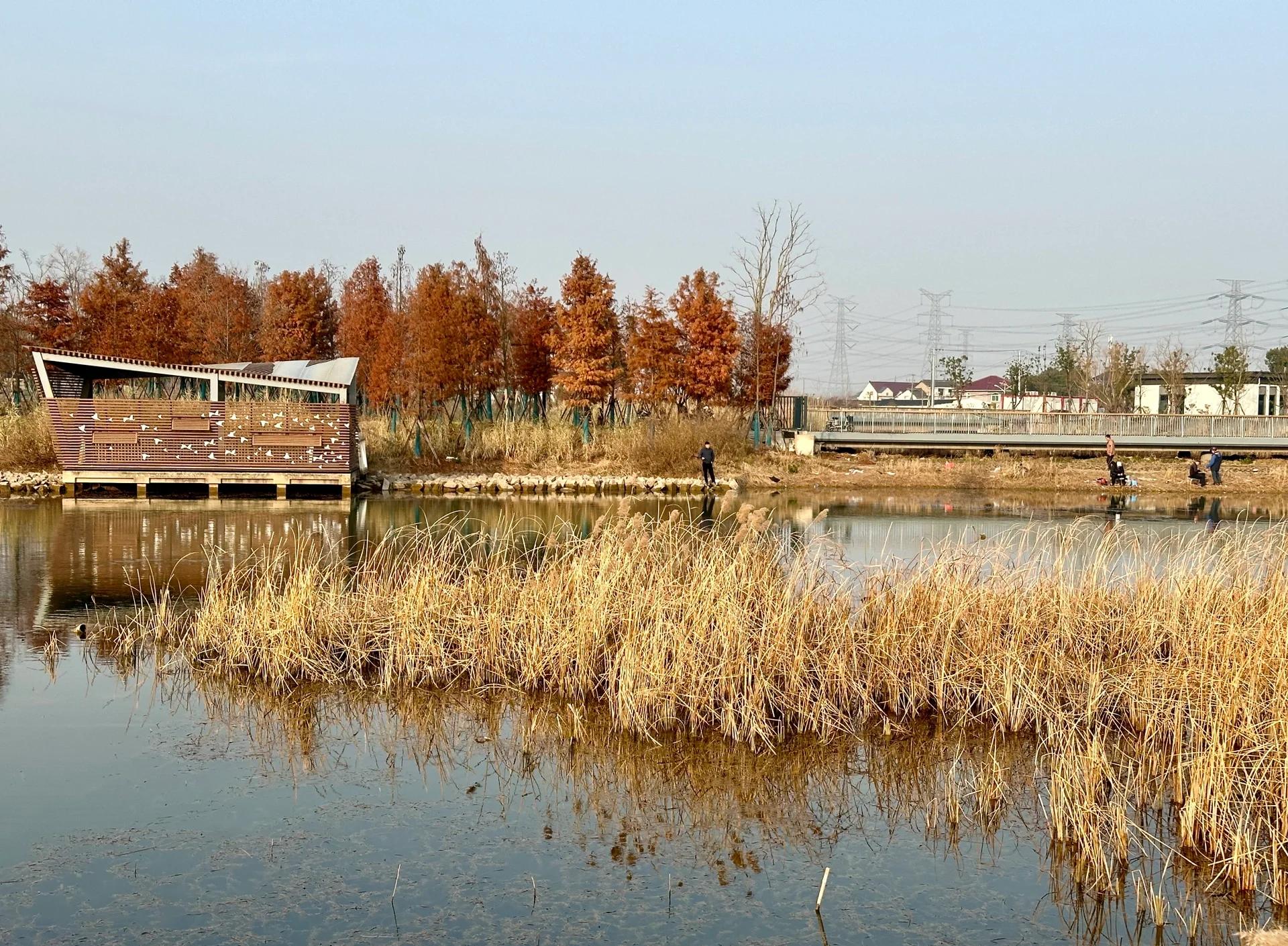 上海钓鱼的公园(上海哪些公园可以钓鱼2020年)