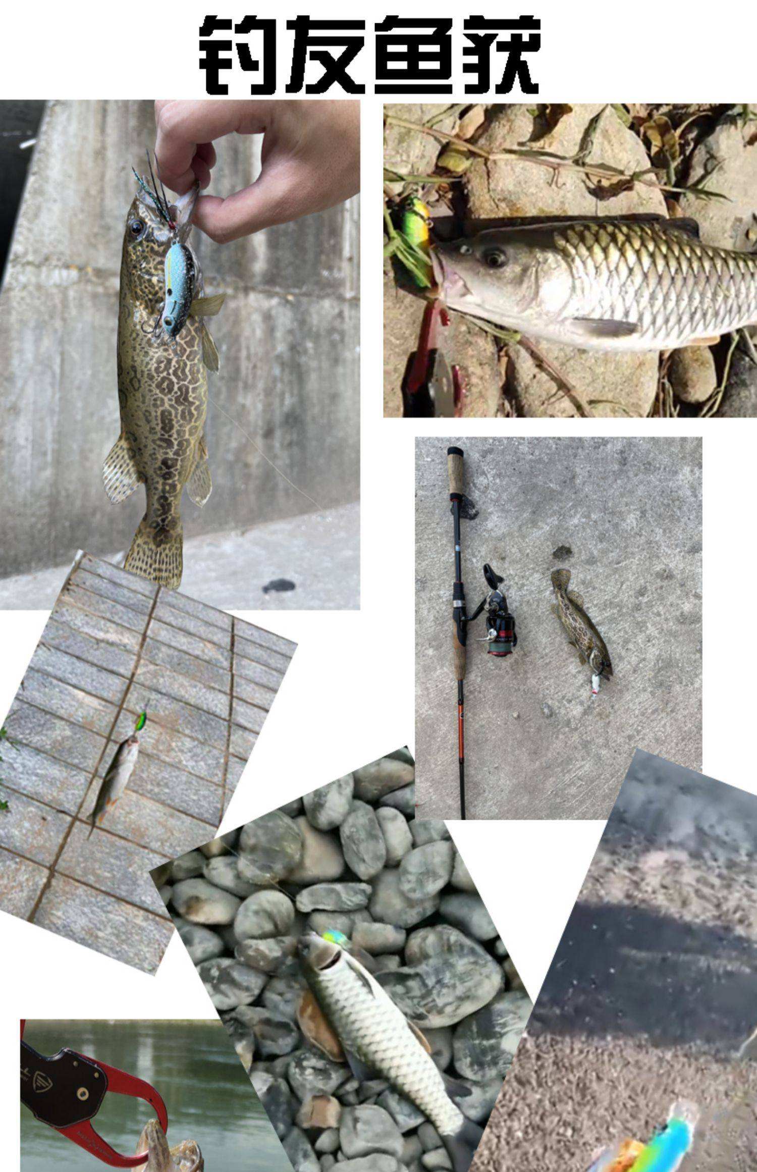 三炸路亚饵(如何路亚抛炸线视频) 三炸路亚饵(如何路亚抛炸线视频)