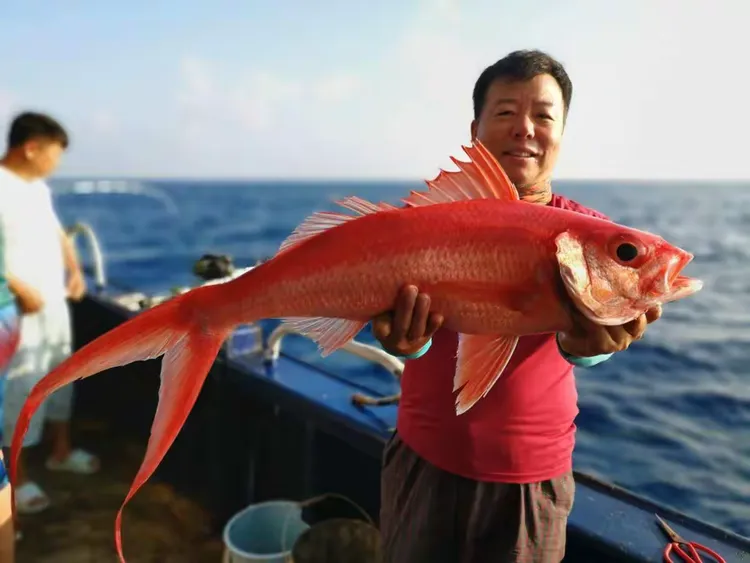 西沙海钓价格(西沙海钓有钱赚吗) 西沙海钓价格(西沙海钓有钱赚吗)
