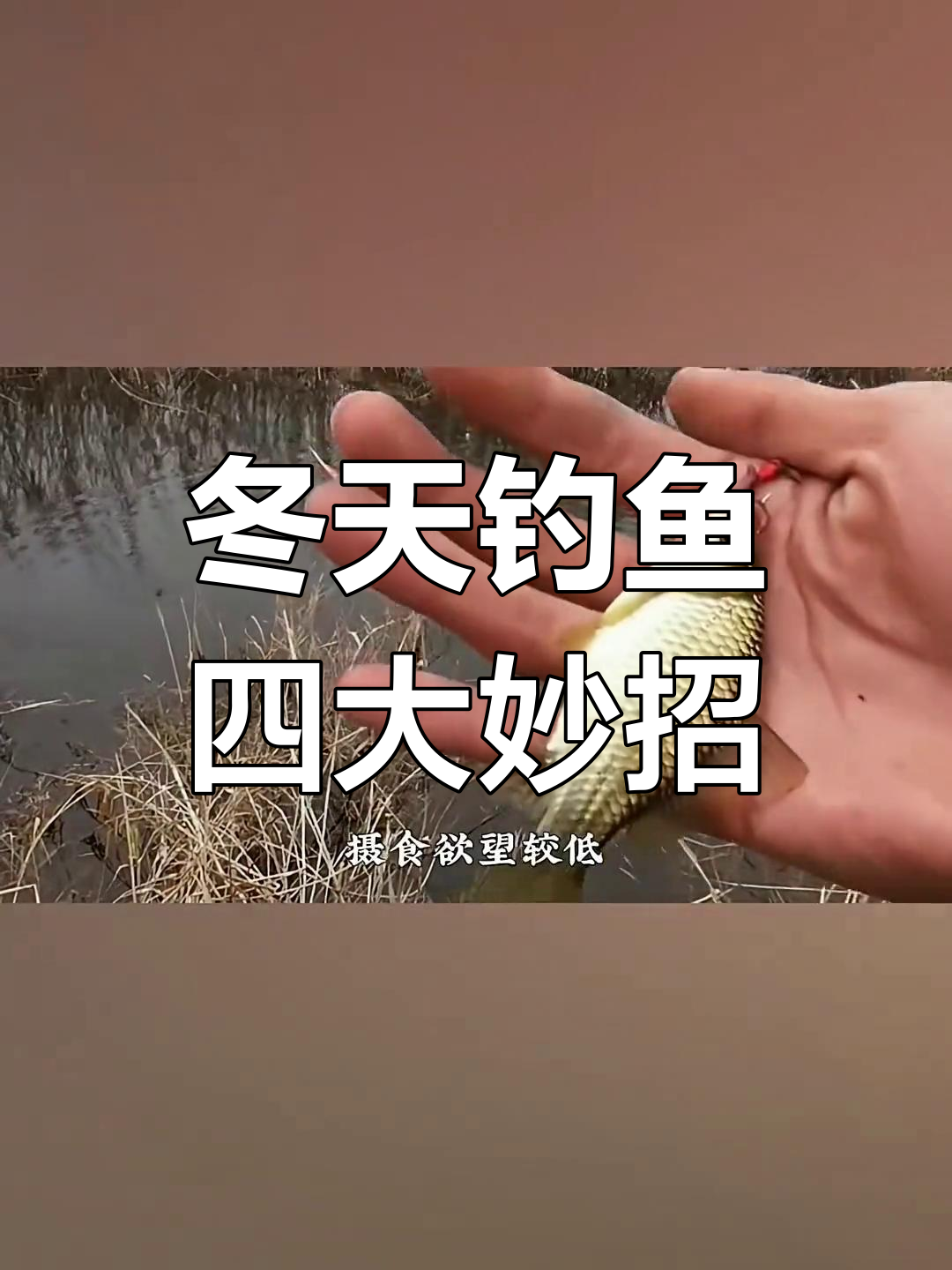 冬天台钓技巧(冬天台钓技巧和方法) 冬天台钓技巧(冬天台钓技巧和方法)