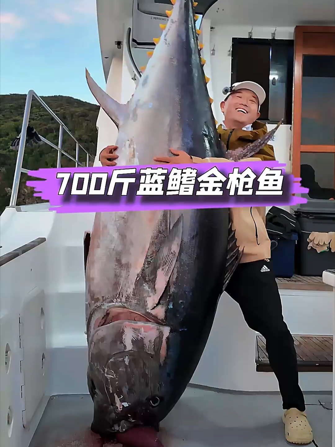 金枪海钓船(大型海钓船钓金枪鱼)