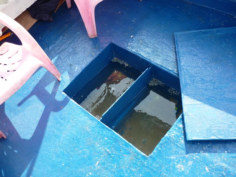 北海租船海钓电话(北海租渔船什么价格) 北海租船海钓电话(北海租渔船什么价格)