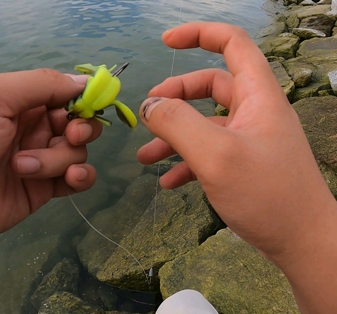 忻州路亚(忻州哪里能钓鱼) 忻州路亚(忻州哪里能钓鱼)