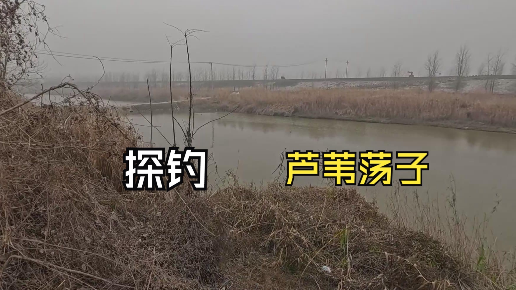 芦苇堂釣大鱼技巧(芦苇堂钓大鱼技巧视频) 芦苇堂釣大鱼技巧(芦苇堂钓大鱼技巧视频)