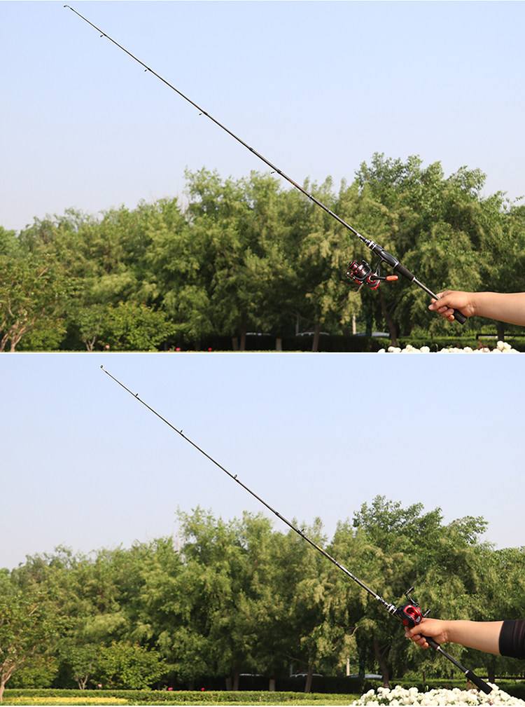 新手海钓路亚竿(新手路亚海钓用什么装备好) 新手海钓路亚竿(新手路亚海钓用什么装备好)