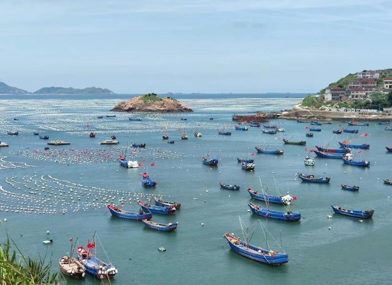 枸杞岛租船海钓(枸杞岛海钓100元2小时) 枸杞岛租船海钓(枸杞岛海钓100元2小时)