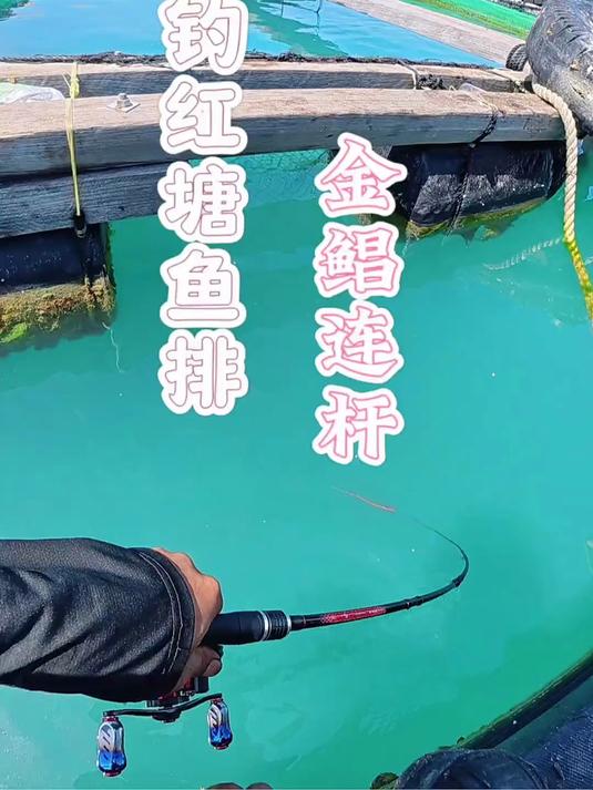 水库鱼排钓鱼技巧(水库排沙方式有哪些)