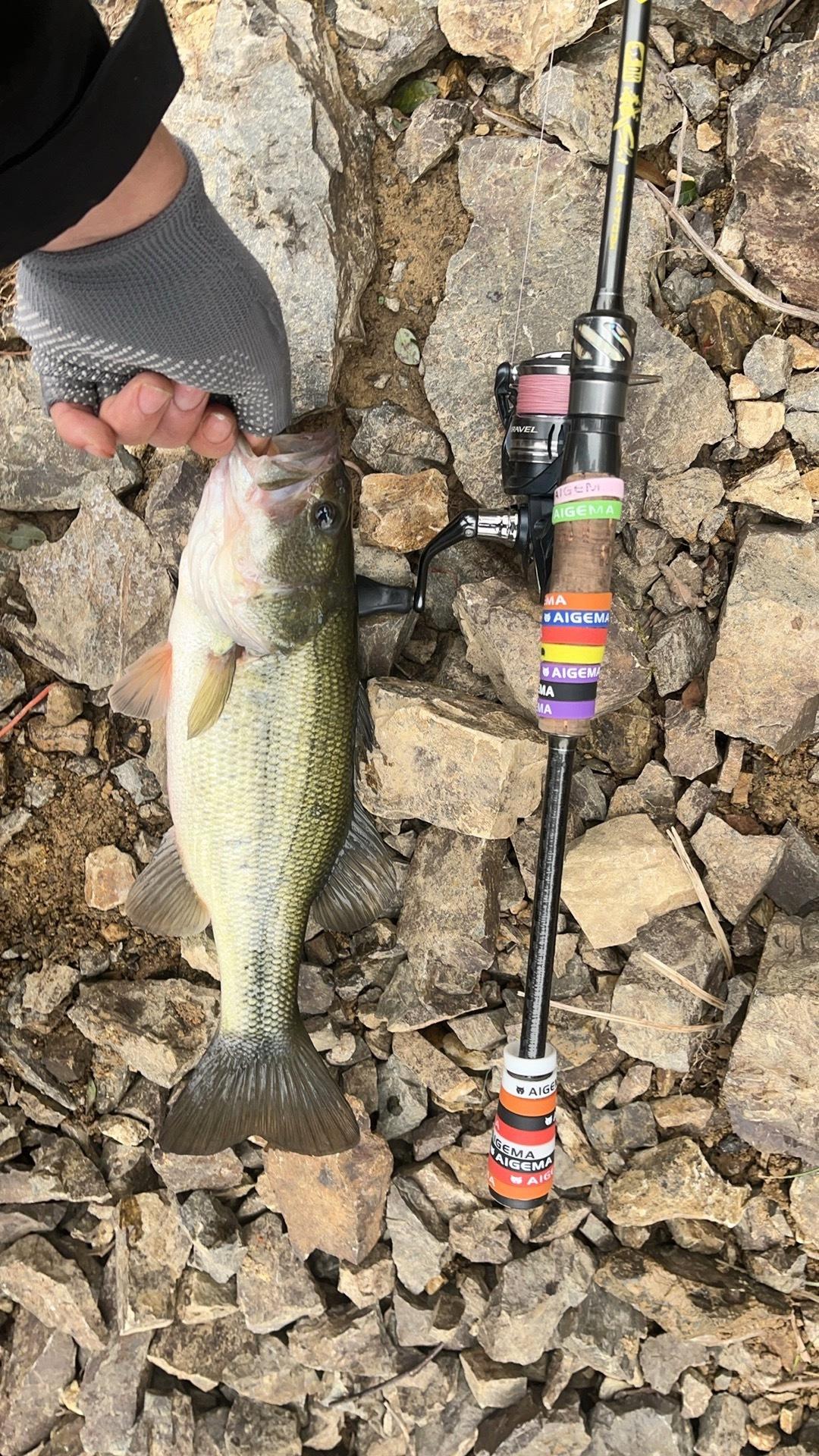 路亚竿重心位置(diy路亚竿重心怎么调?)