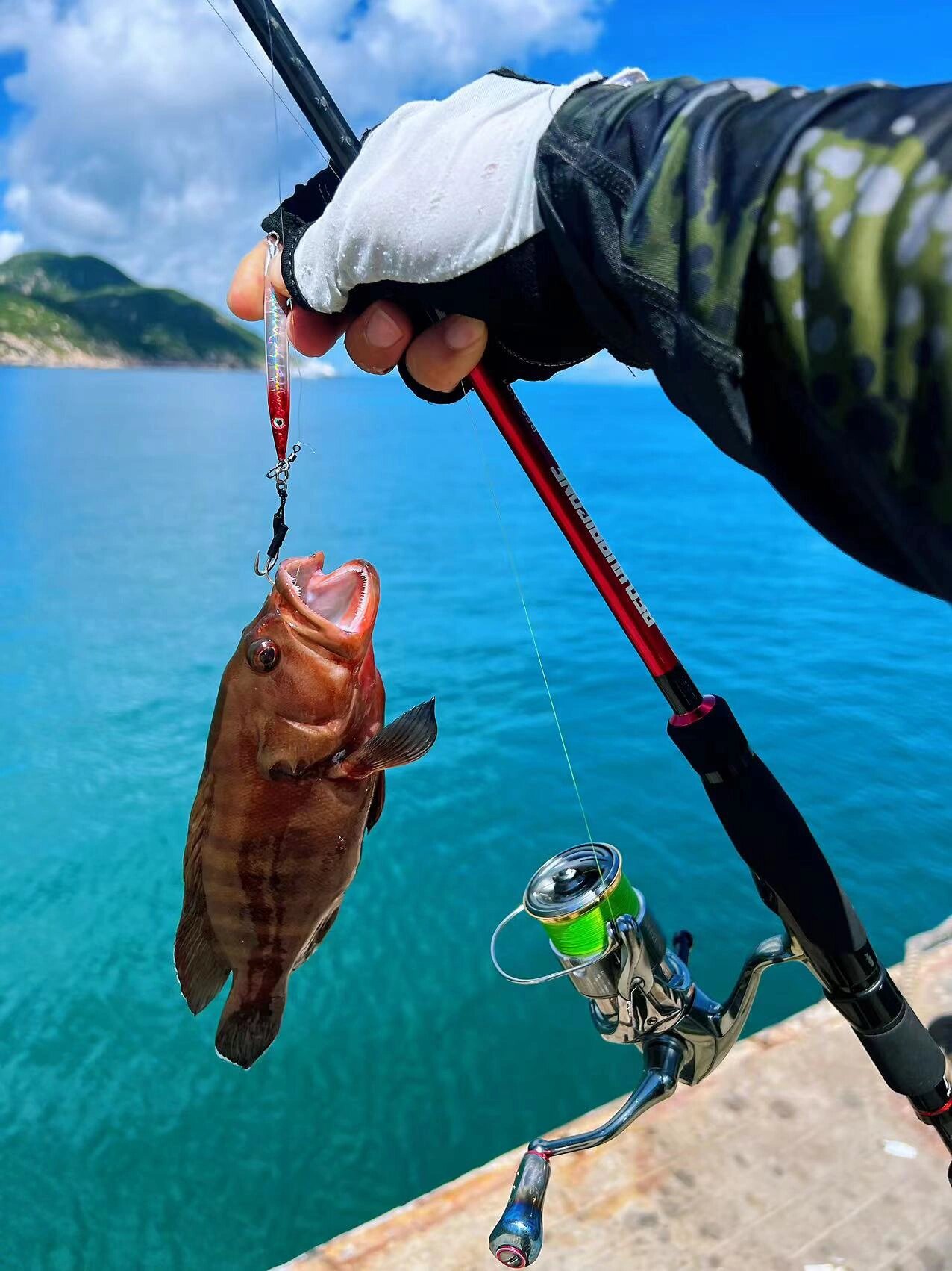 海钓小鱼(海钓小鱼视频大全集播放)