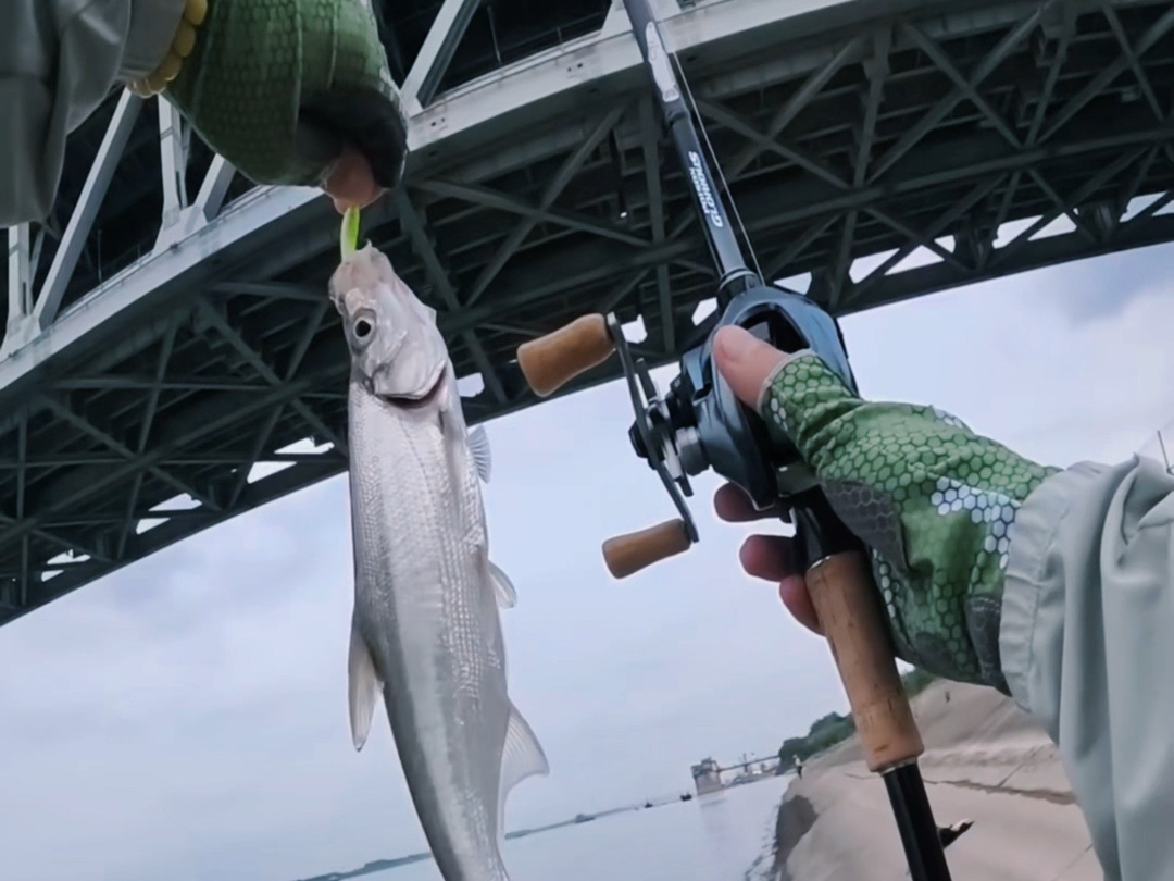 宜城汉江路亚(武汉天鑫巨物钓场)