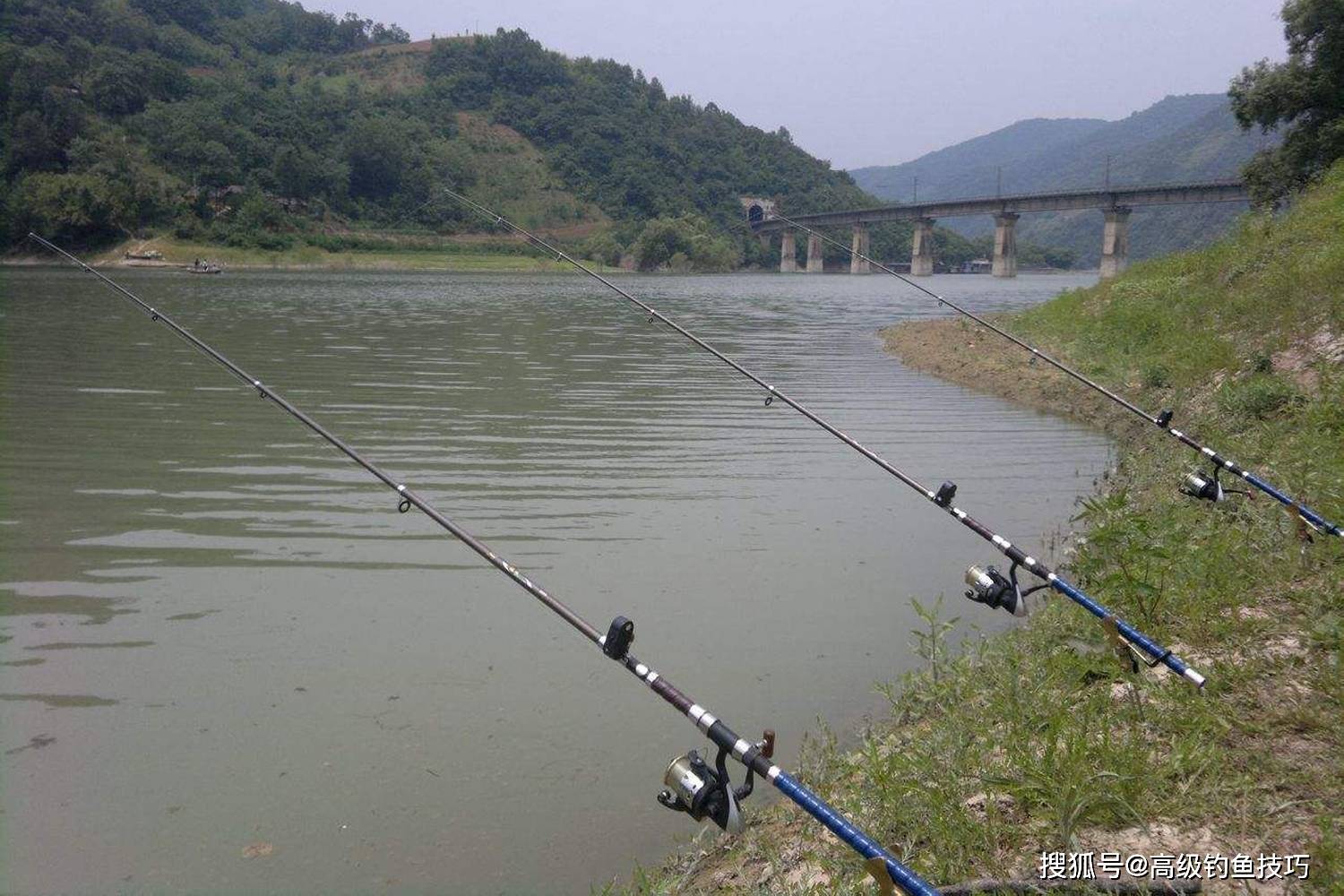 海杆溜鱼泄力技巧(海杆怎么溜鲤鱼视频)