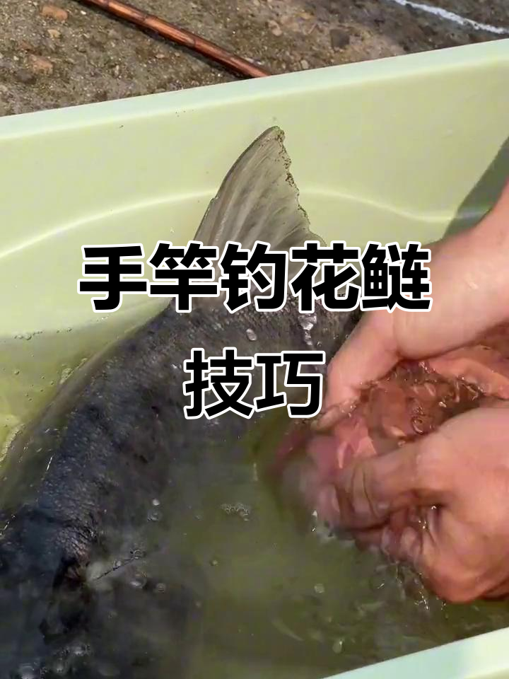 手杆钓花鲢的技巧(手竿钓花鲢用多长的竿) 手杆钓花鲢的技巧(手竿钓花鲢用多长的竿)