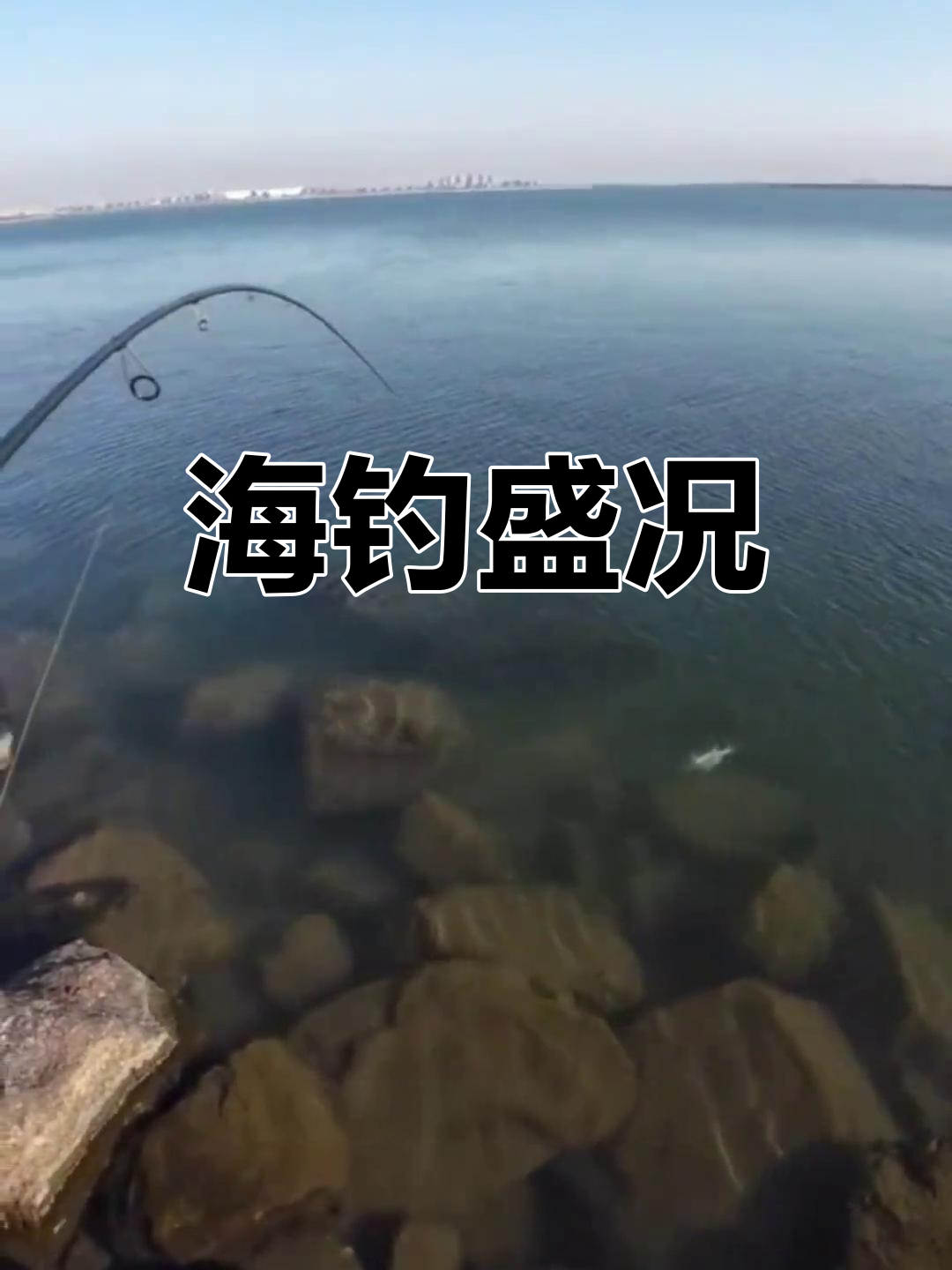 天津钓鱼现场提供渔具(天津钓鱼现场提供渔具的地方)