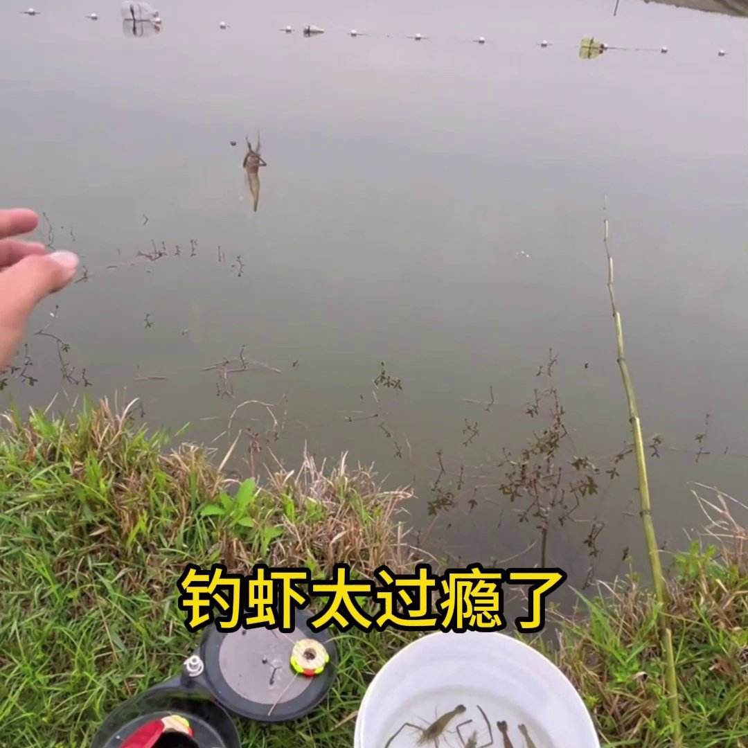 海钓怎么勾虾仁(海钓秘制钓虾怎么做) 海钓怎么勾虾仁(海钓秘制钓虾怎么做)