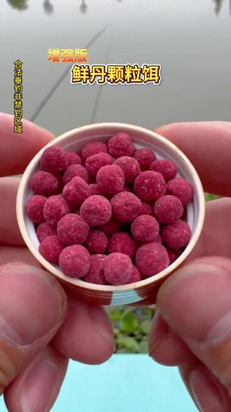 钓鱼买啥饵料(钓鱼哪种饵料最好)