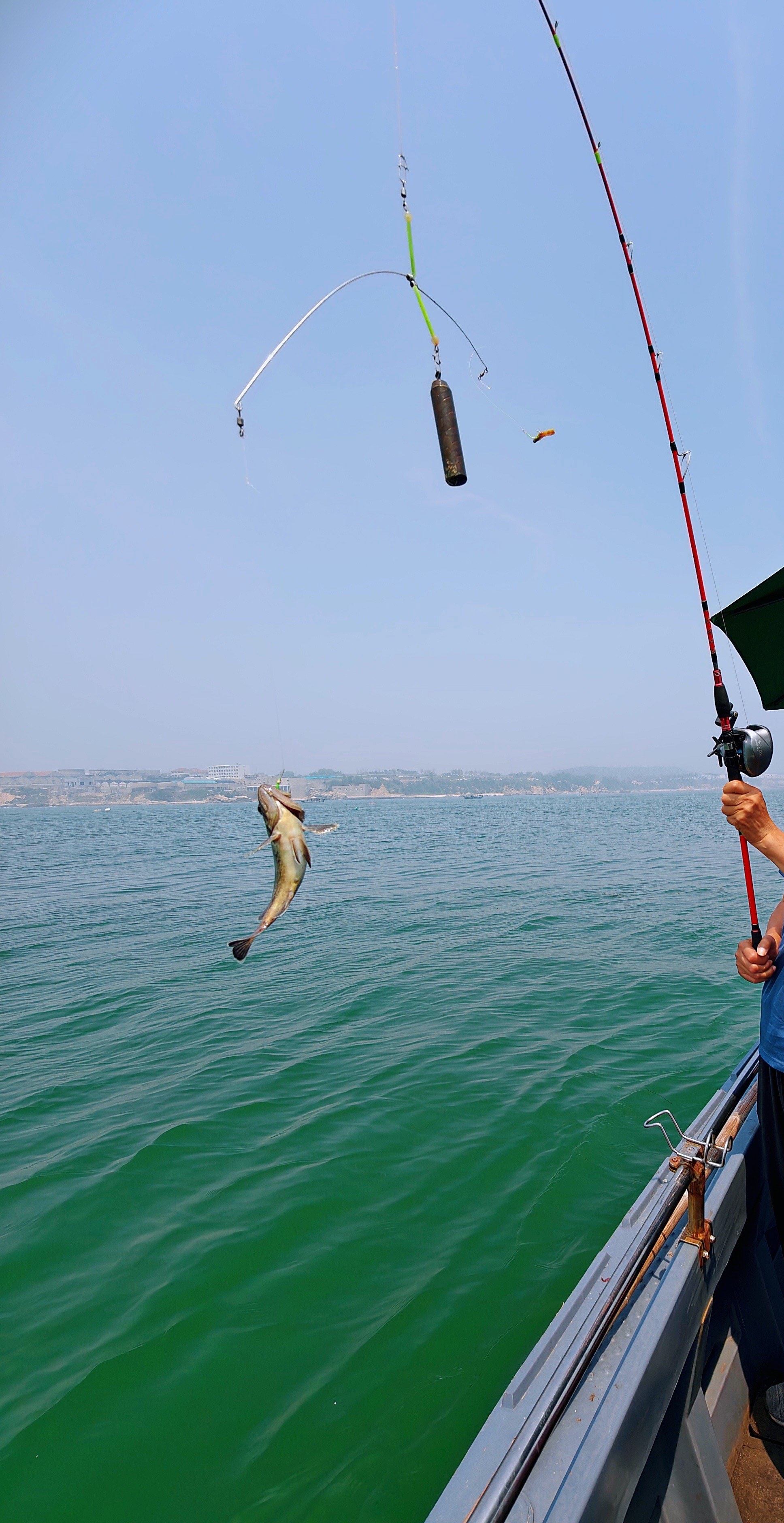船厂海边能海钓吗(船厂海边能海钓吗视频) 船厂海边能海钓吗(船厂海边能海钓吗视频)