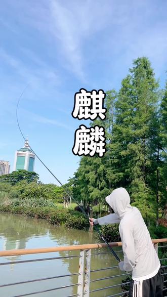 渔具皇麒麟(国产十大渔具品牌)