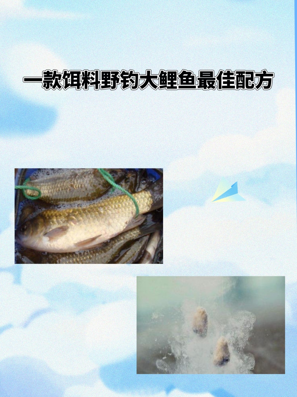 大棚钓鲤鱼饵料(大棚钓鲤鱼饵料配方)