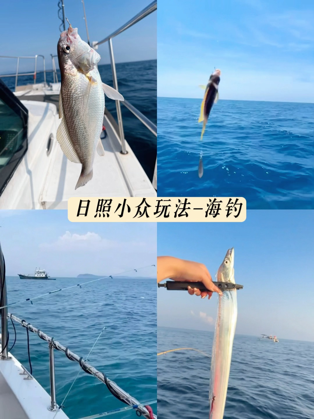 青岛海钓沙板(青岛钓沙板的地方)