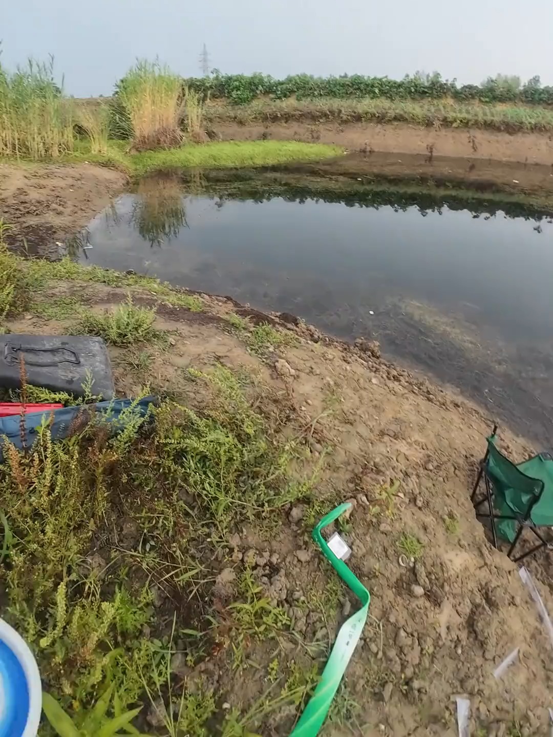 中秋野塘钓鱼技巧(中秋野钓如何选位置)
