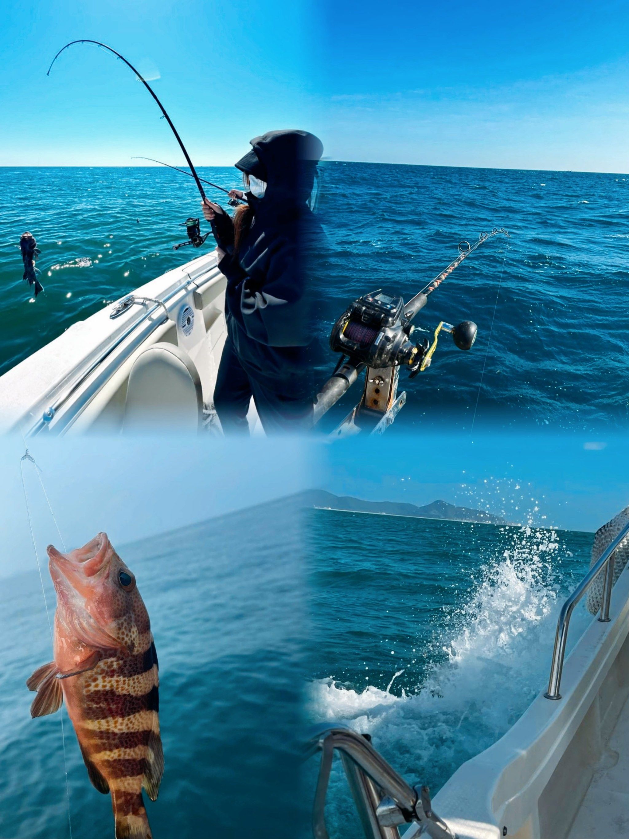 宁波渔山岛海钓(宁波渔山岛在哪里) 宁波渔山岛海钓(宁波渔山岛在哪里)