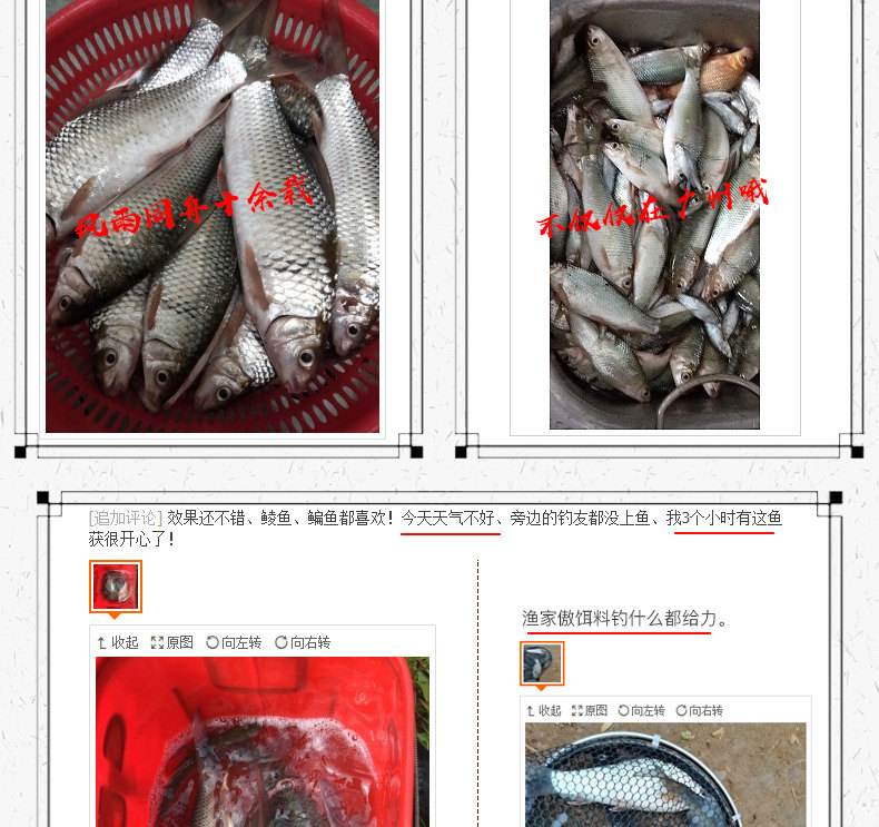 水库鲮鱼饵料(水库鳊鱼用什么饵料钓)