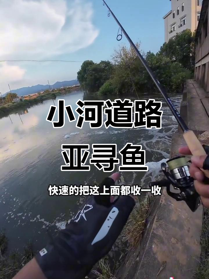 小河路亚技巧(小河路亚用什么杆)