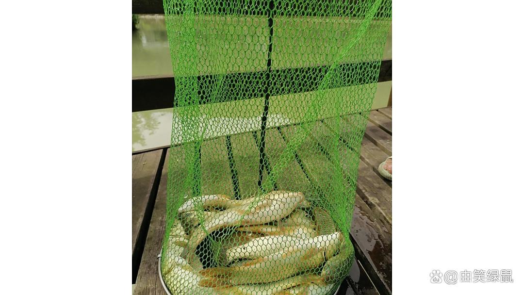 鱼钩出水饵料没有(我开的饵料钩上没有残留为什么)