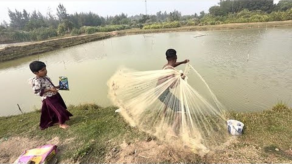 用网捕鱼的技巧视频(用网捕鱼的技巧视频教程)