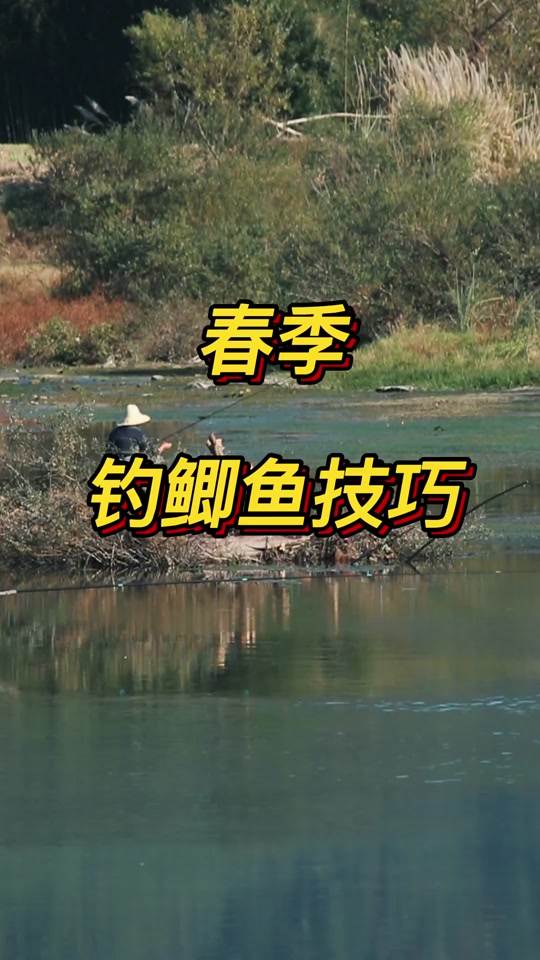 北方初秋野钓鲫鱼技巧(北方初秋野钓鲫鱼技巧和方法)