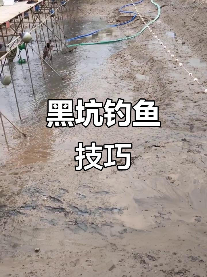 天冷钓黑坑的技巧(天冷钓黑坑的技巧是什么)