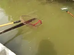 电鱼技巧视频(电鱼技巧与方法视频)