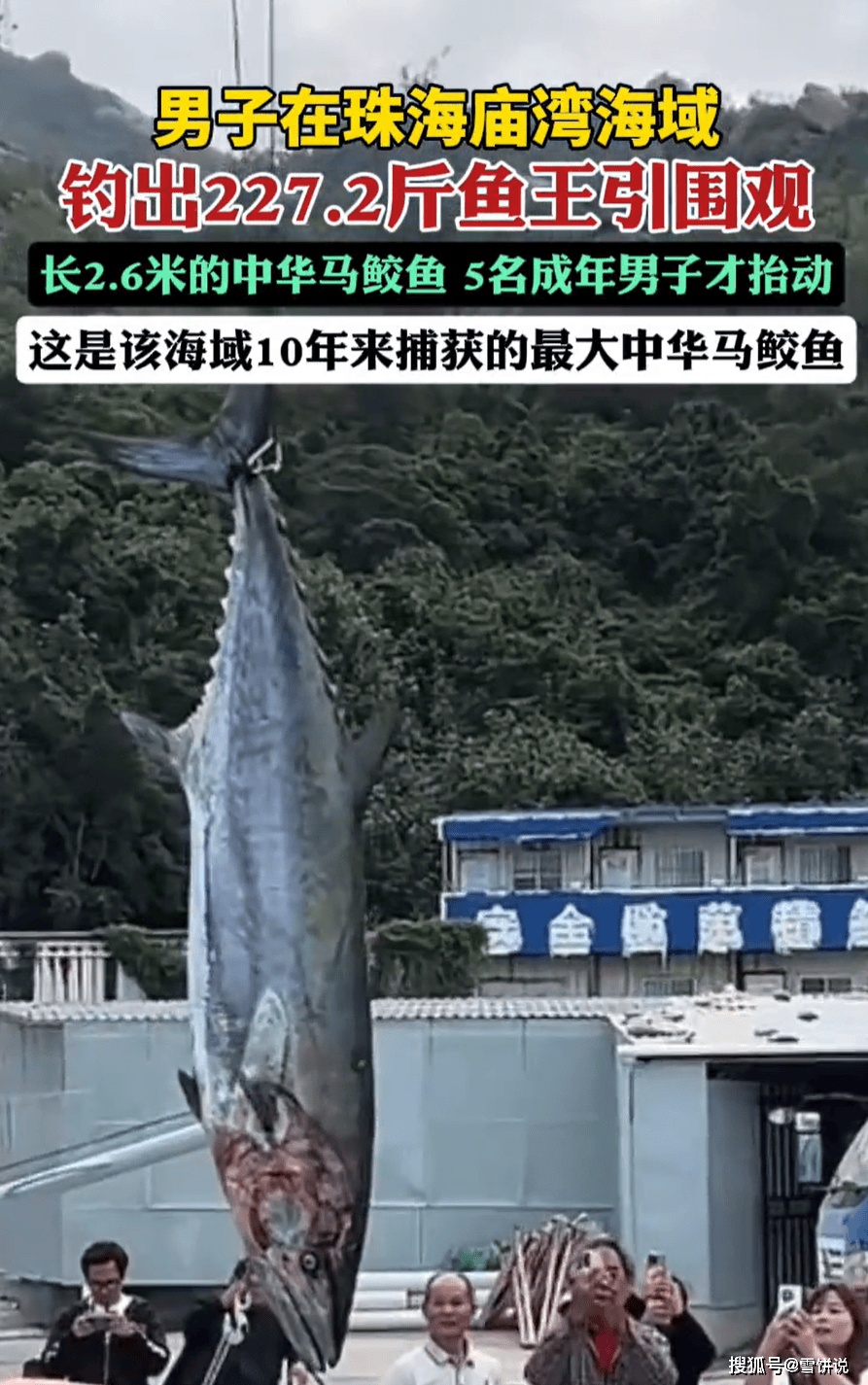 广东海钓什么鱼(广东哪里可以钓海鱼) 广东海钓什么鱼(广东哪里可以钓海鱼)