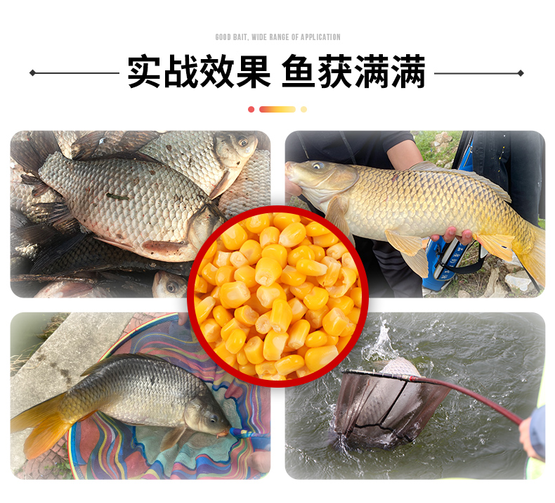 龙王恨酵鲤饵料怎么样(龙王恨饵料是哪里生产的)