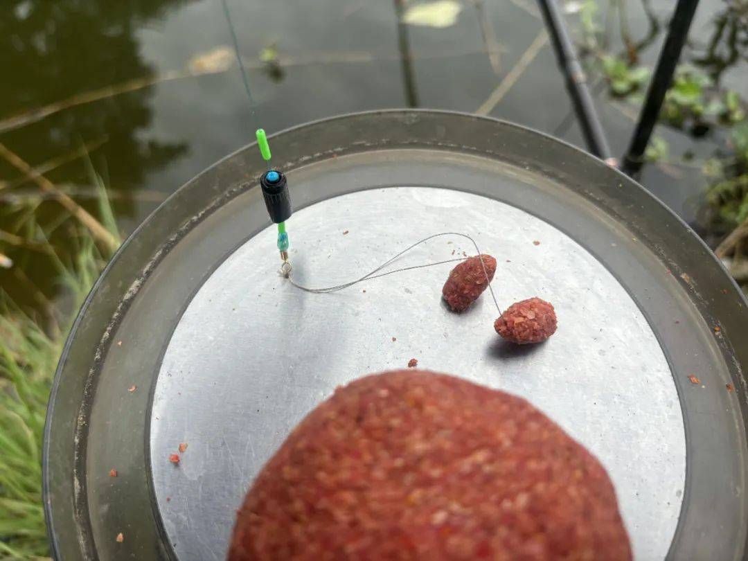 天冷鲤鱼吃什么饵料(天冷鲤鱼喜欢吃什么食物) 天冷鲤鱼吃什么饵料(天冷鲤鱼喜欢吃什么食物)