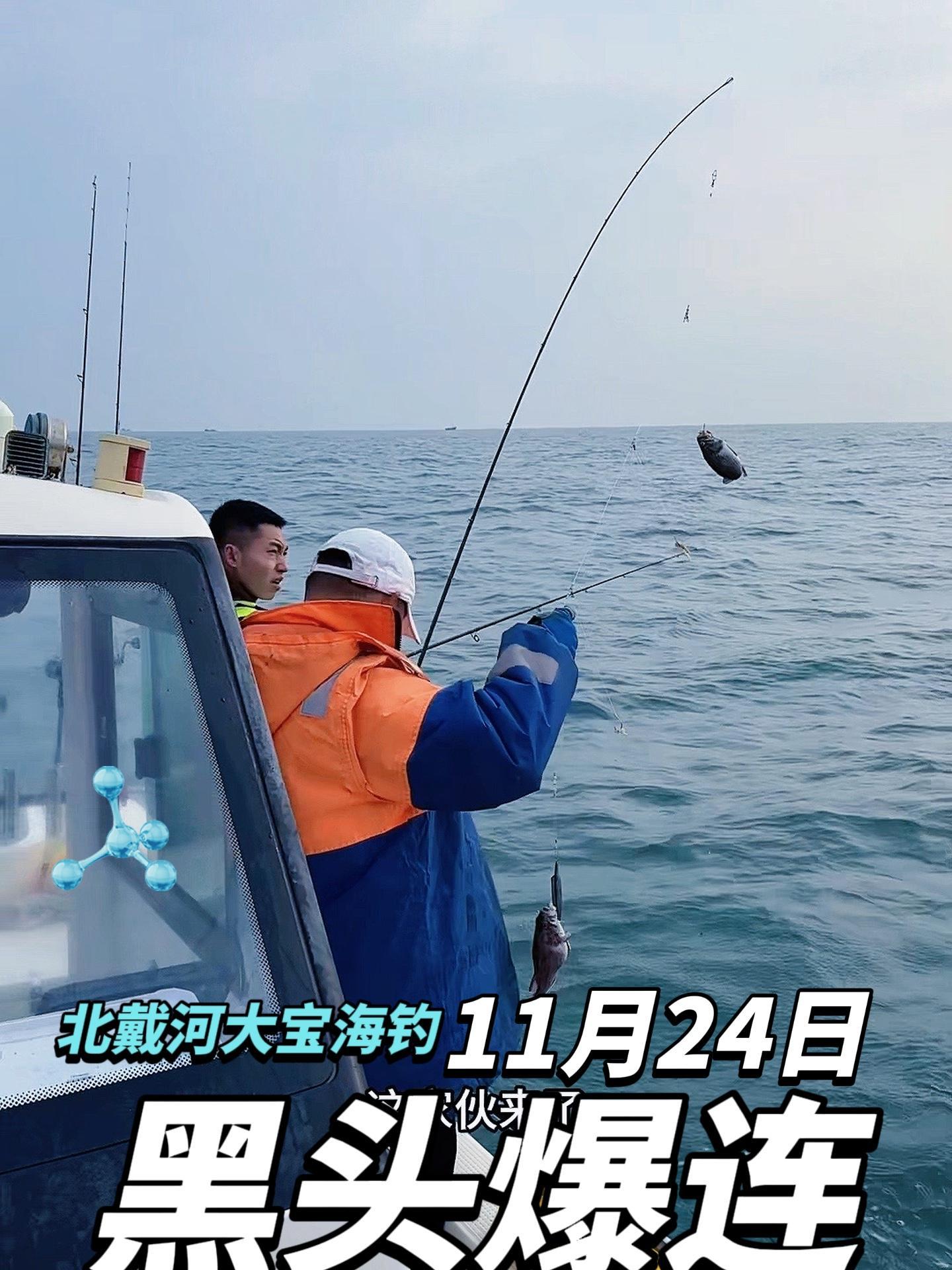 大连海钓大棒鱼如何钓(大连海钓大棒鱼如何钓视频)