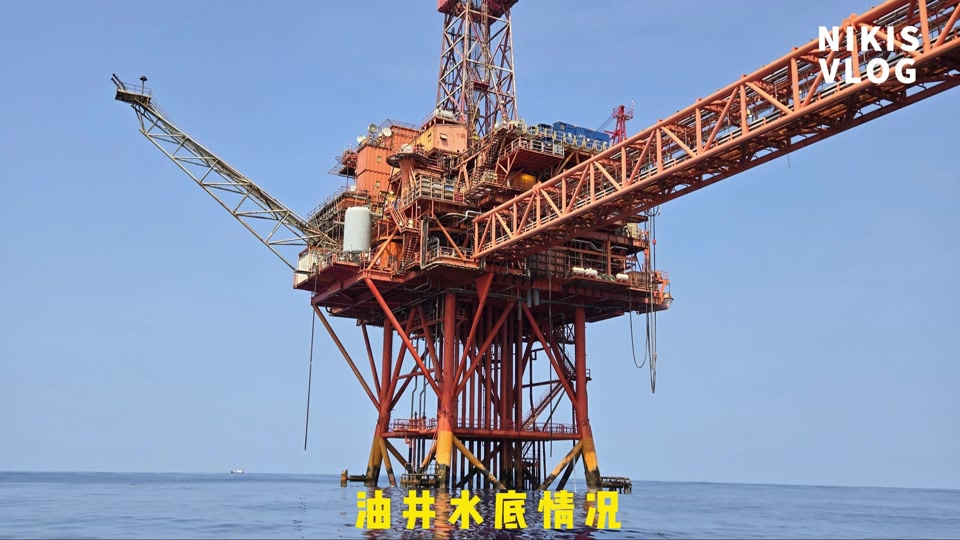 天津海钓油井(天津海钓视频大全集)