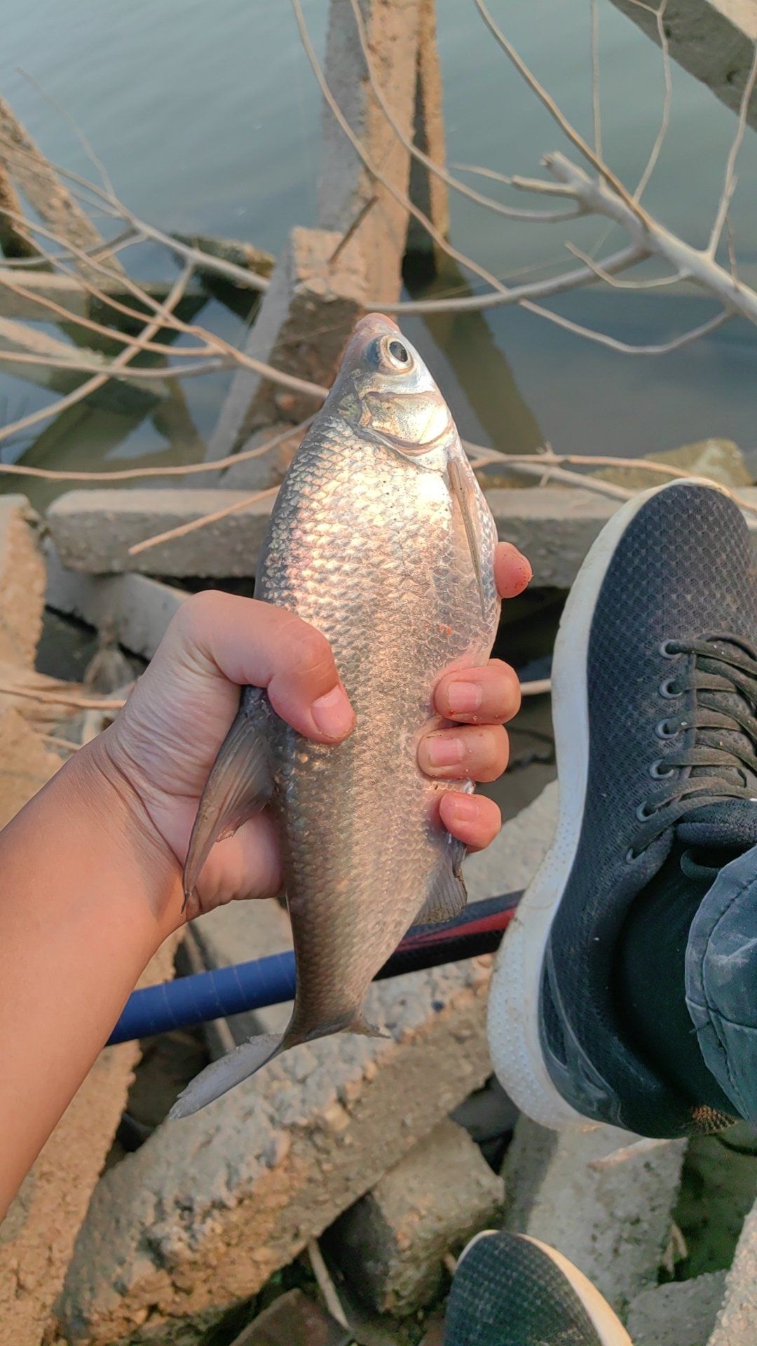 湘乡路亚(中国路亚钓手前十名) 湘乡路亚(中国路亚钓手前十名)