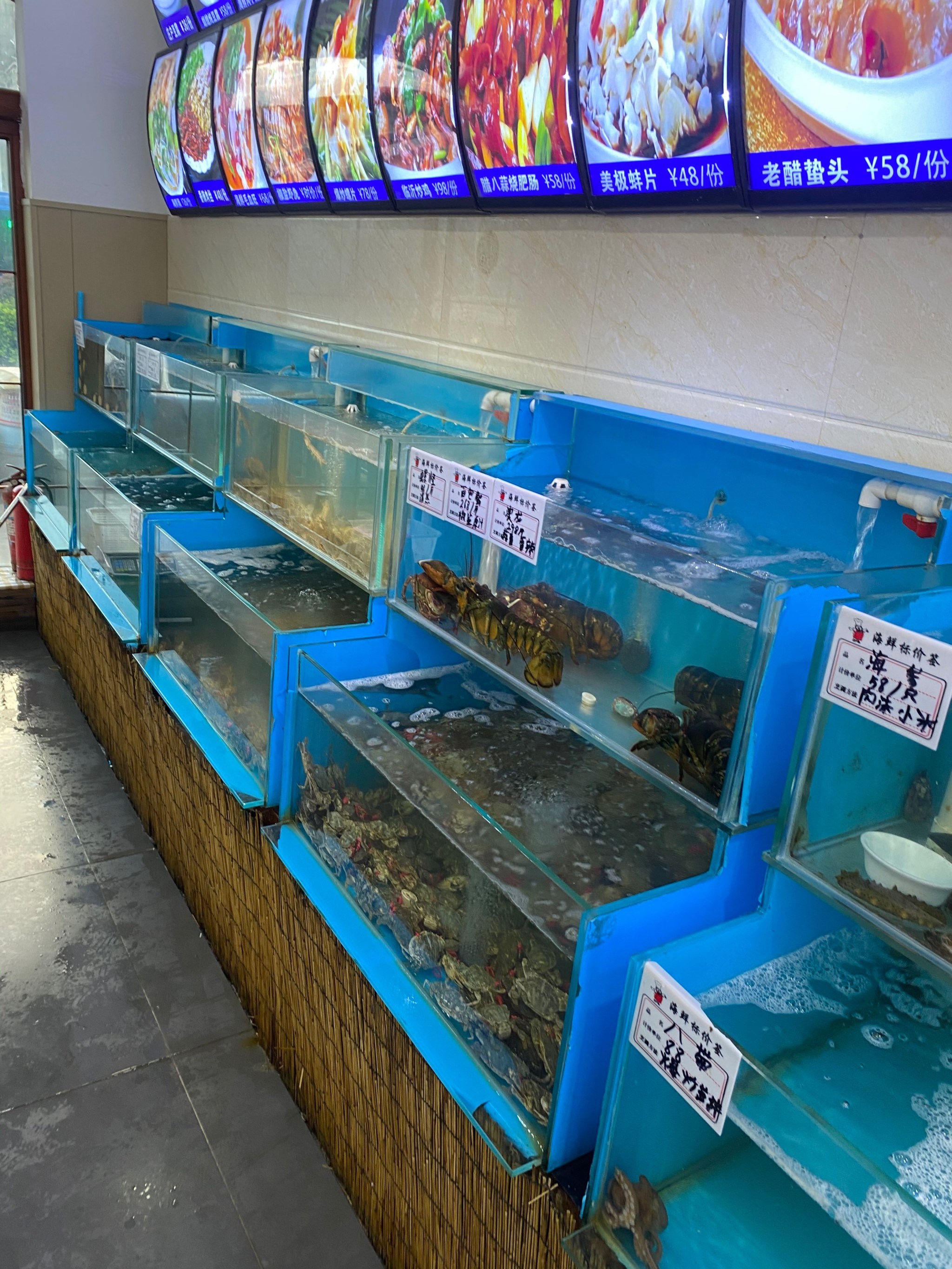 烟台金岛渔具店(威海鑫星渔具价格表)