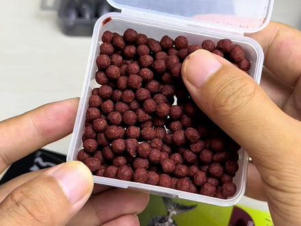 海钓颗粒饵料(颗粒可以钓海鱼吗)