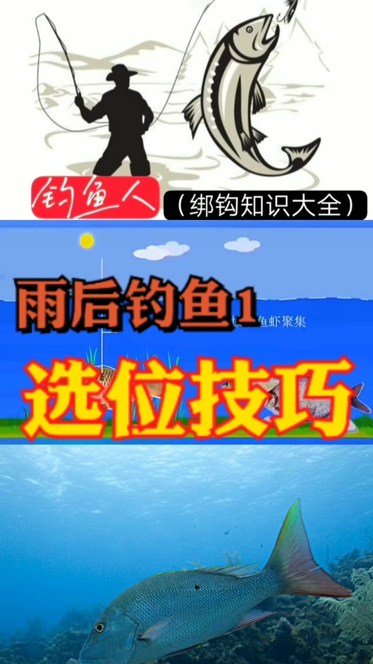 南方春季钓鲫鱼技巧(南方春季钓鲫鱼技巧和方法)