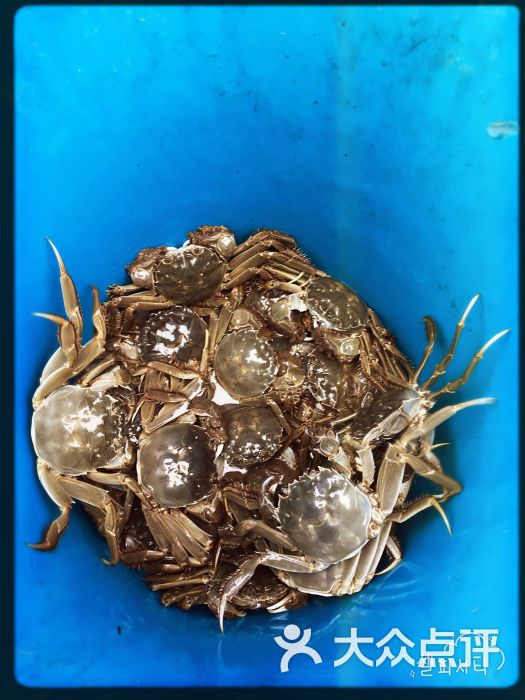 七里海钓(七里海钓螃蟹怎么收费)